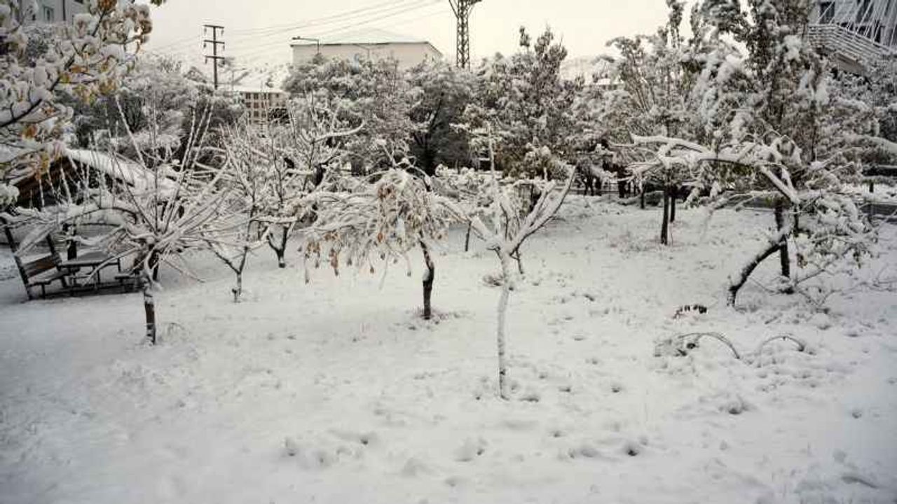 Bitlis'te kar kalınlığı 30 santimetre oldu