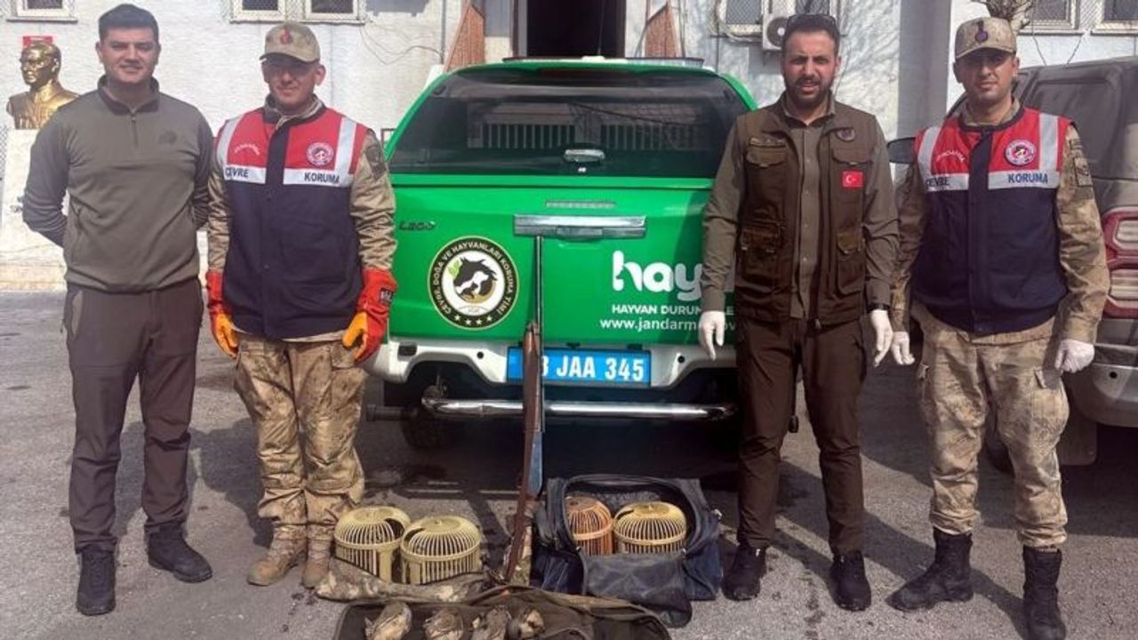 Bitlis'te kaçak keklik avlayan 2 kişiye ceza