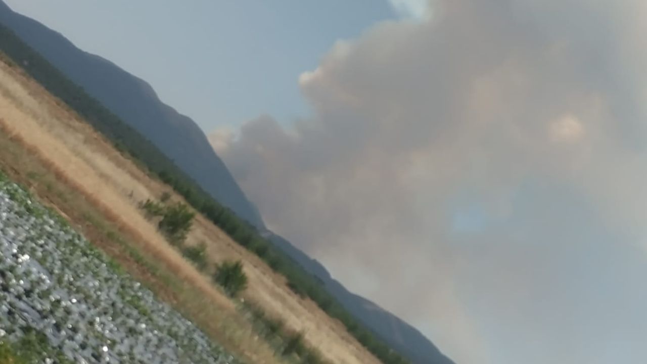 Doğanhisar'da orman yangını