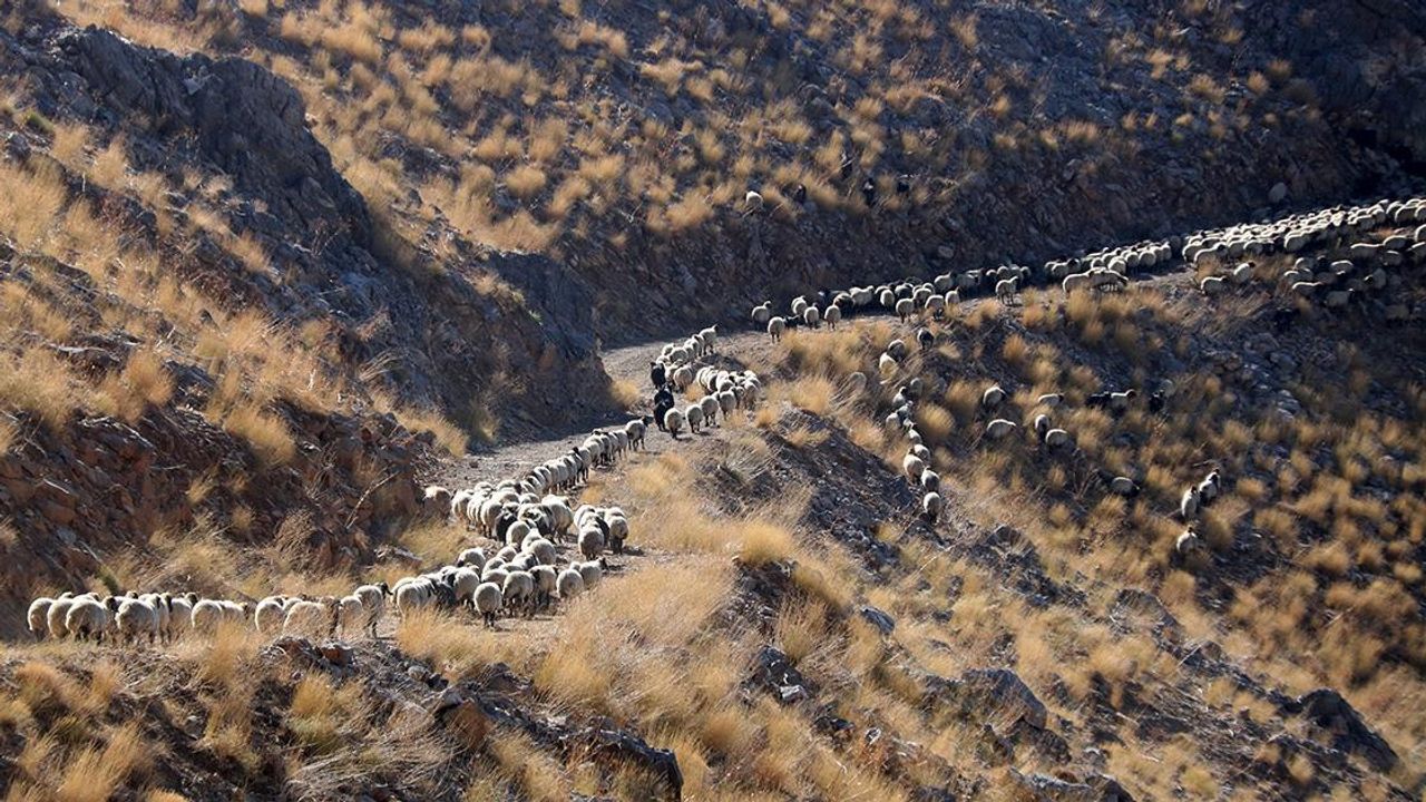 Bitlis'te göçerler dönüş yolculuğunda