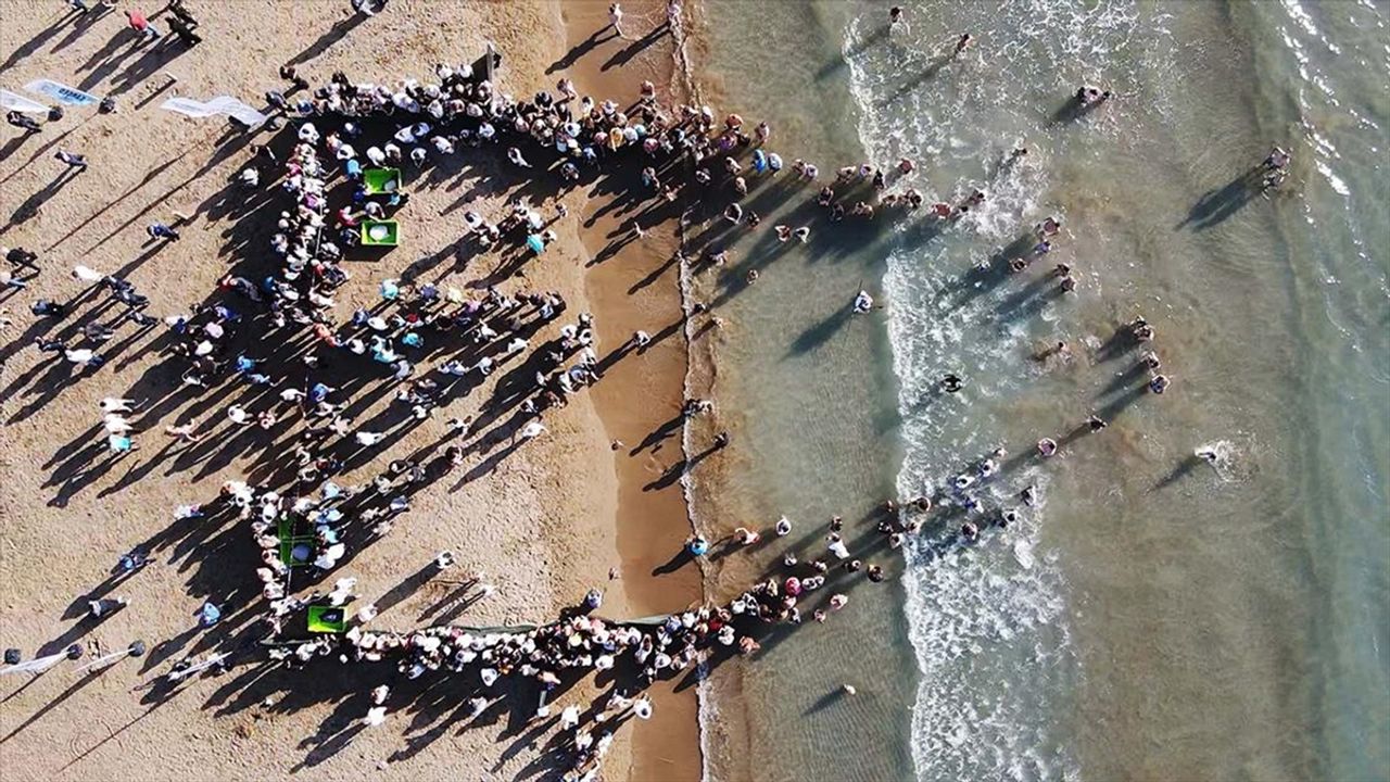 Tedavileri tamamlanan deniz kaplumbağaları denizle buluştu