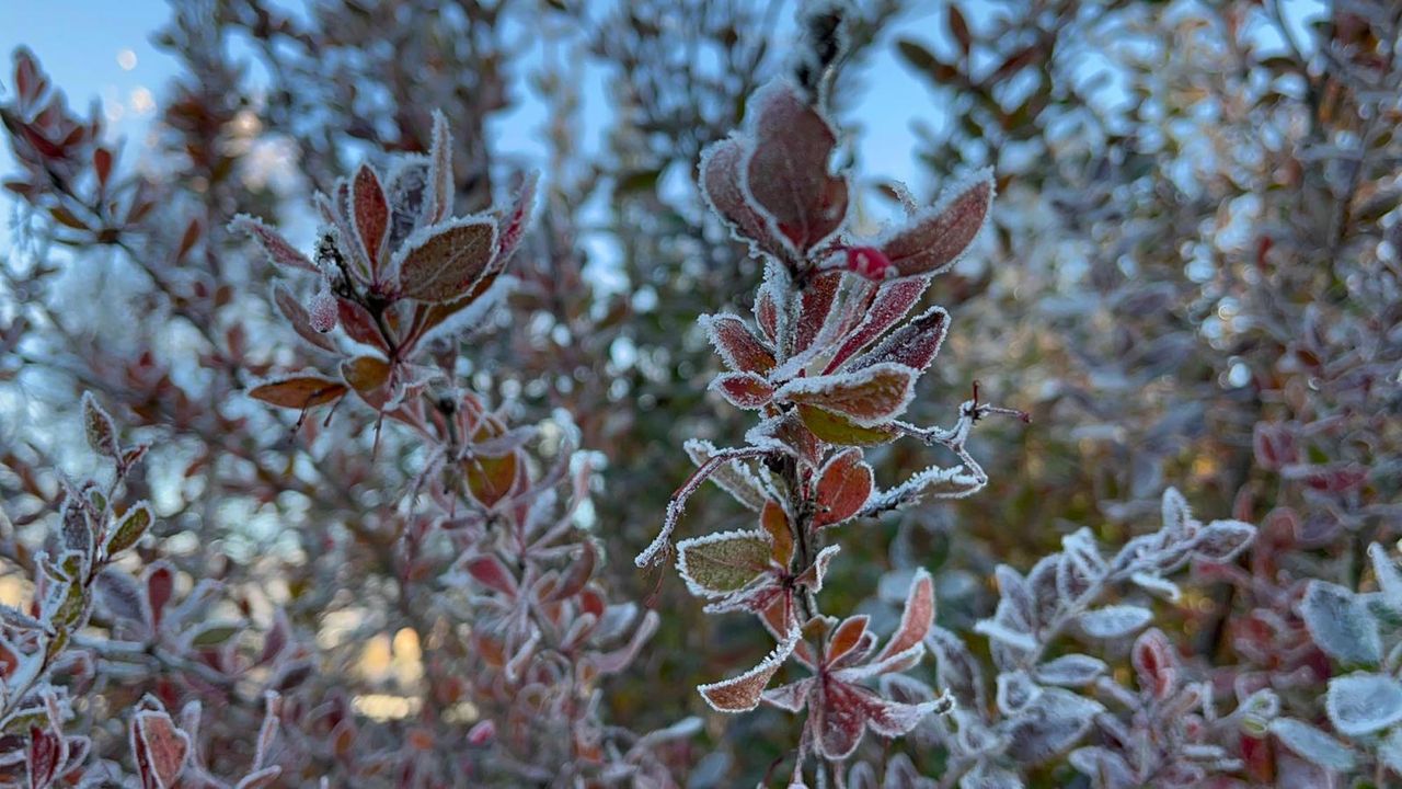 Ardahan'da hava eksi 10 dereceyi gördü