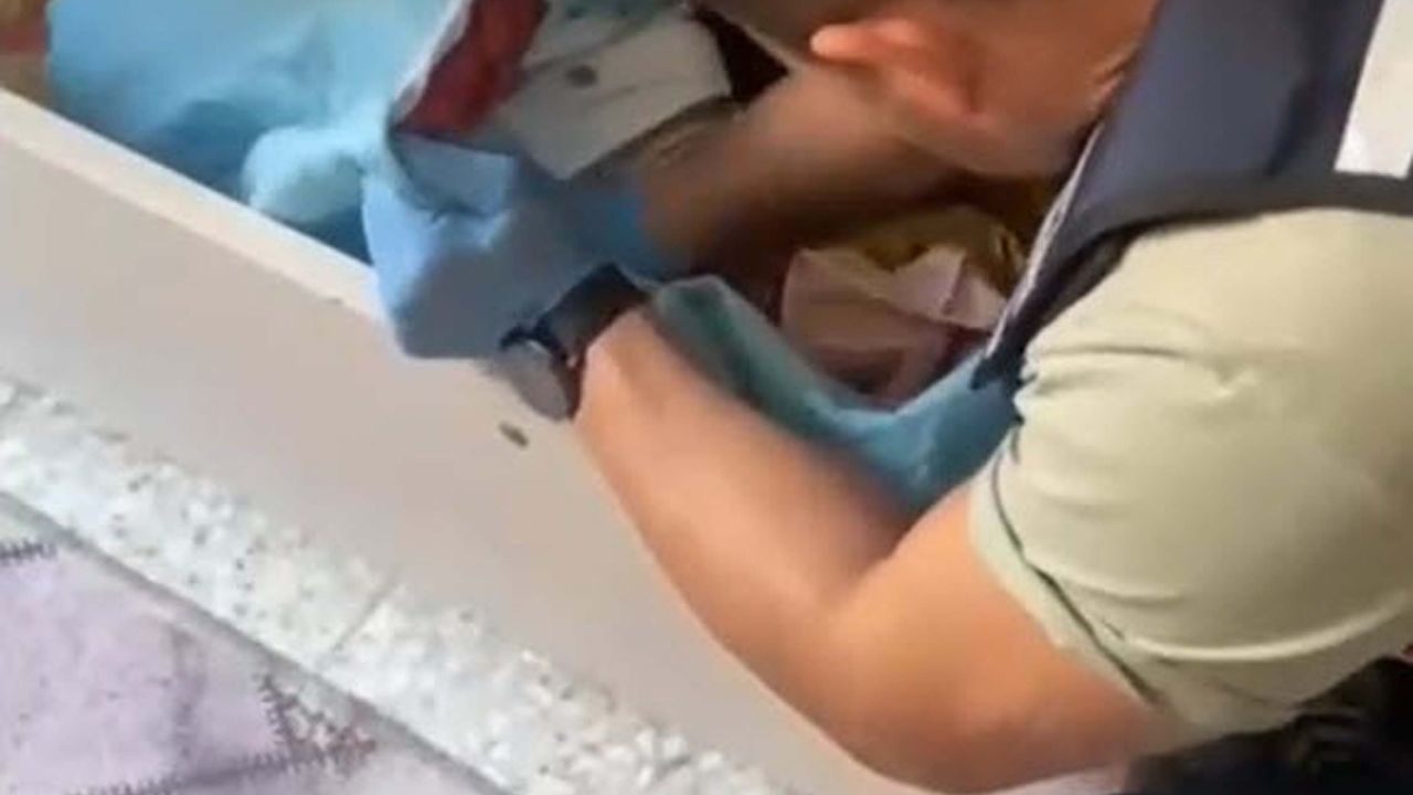 Aydın ve İzmir'de Suç Örgütü Operasyonu