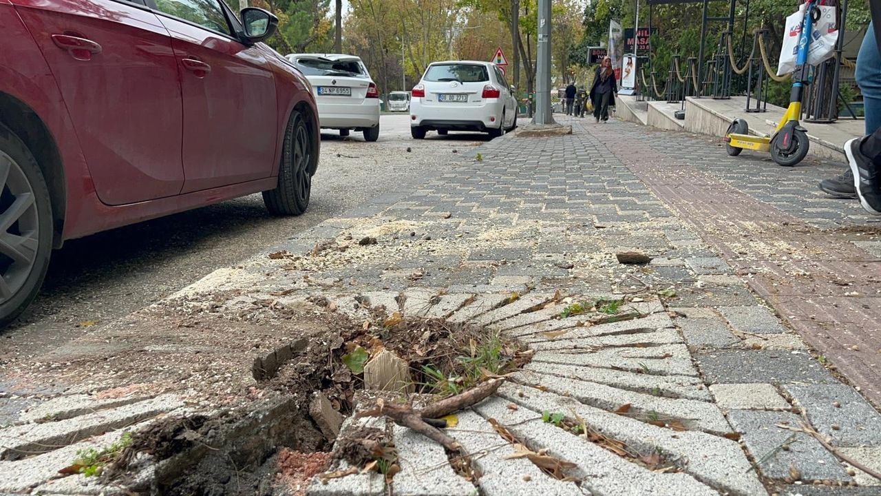 Bursa'da etkili olan lodos hayatı felç etti