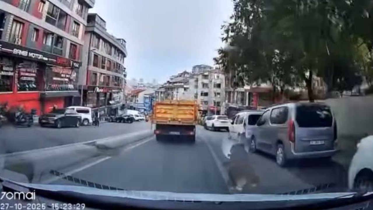 Eyüpsultan'da 'U' dönüşü sırasında kaza