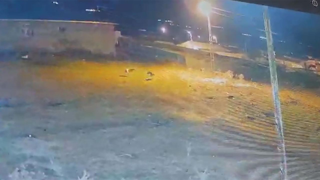 Kars'ta Kurtlar Şehre İnip Köpeğe Saldırdı