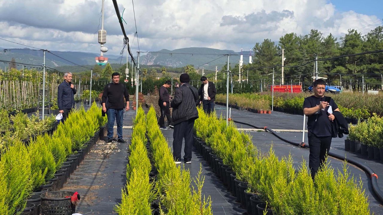 Muğla'da ormancılardan inceleme