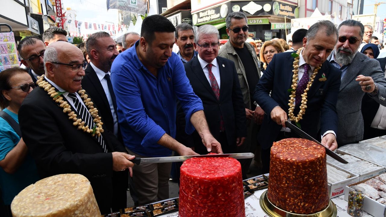 Osmaniye'de 'Yer Fıstığı Festivali'