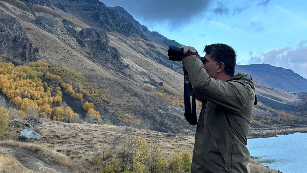 Bitlis'te gökyüzünde oluşan karga yoğunluğu dikkat çekti