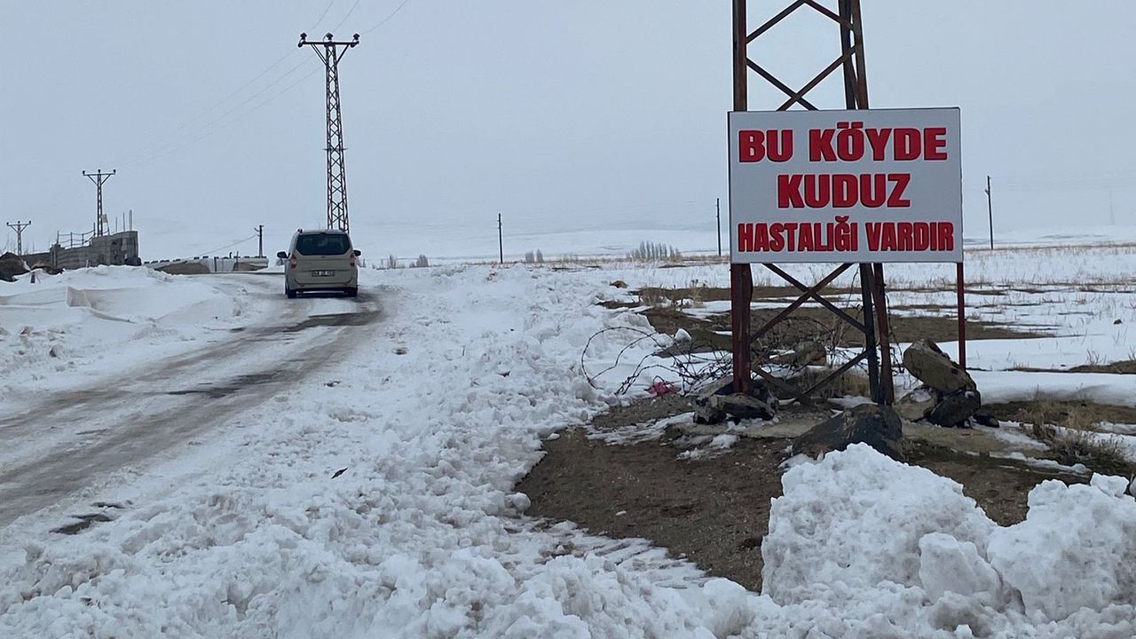 Bitlis'te kuduz vakası