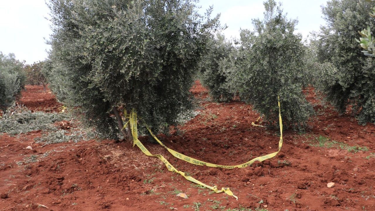 Kilis'te traktörden düşen çiftçi kurtarılamadı
