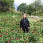 Afyonkarahisar'da Bu Gülü Kopartan Yandı! Cezası Dudak Uçuklattı!