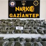 Gaziantep merkezli 14 ilde 'Narko Kapan' operasyonu