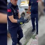 Otomobilin motoruna giren yavru kedi itfaiye tarafından kurtarıldı