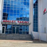 Av Tüfeğiyle Öldürülen 'Sütlaç' İçin Suç Duyurusu