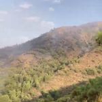 Muğla'da yangının ikinci günü
