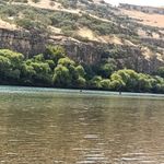 Serinlemek İçin Dicle Nehri'ne Giren Yeşim Hayatını Kaybetti