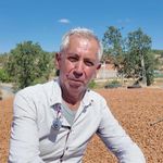 Manisa'da badem hasadı başladı!