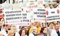 Veteriner Hekimleri iş bırakacak