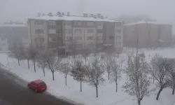 Bitlis'te kardan kapalı 28 köy yolu açıldı