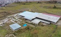 Pompeiopolis’te Yeni Hedef: Ören Yeri