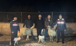 Çaldıkları hayvanları satan zanlılar yakalandı