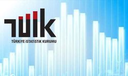 Tarım ürünleri üretici fiyat endeksi Aralık 2024 verileri