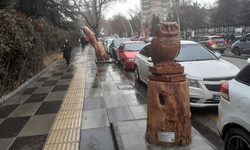 Ağaçları geri istiyorlar