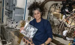 Elon Musk'tan NASA astronotlarının geri getirilmesini istedi