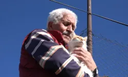 Emekliliğini hayvanlarıyla geçiriyor