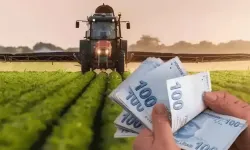 Tarımsal destekleme ödemeleri hesaplara yatırılıyor