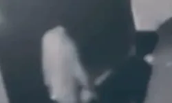Türk bayrağını yakan şüpheliye ceza