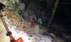 Otomobil, uçuruma yuvarlandı