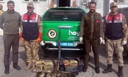 Bitlis'te kaçak keklik avlayan 2 kişiye ceza