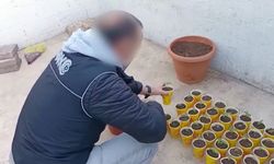 Diyarbakır'da torbacı operasyonu
