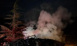 Kızılcahamam'da yangın