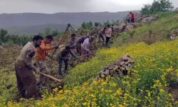 Hakkâri Derecik'te 100 yıllık gelenek