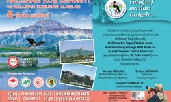 8. Nallıhan Foto Safari Başlıyor