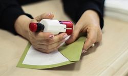 407 Mahalle ve Köyde Seçim Tarihi Belli Oldu