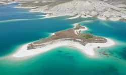 Adıyaman’daki Martı Adası, Yüzlerce Kuşa Ev Sahipliği Yapıyor