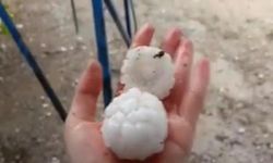 Adana'da tarım alanları zarar gördü