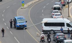 Alacak Kavgasında Vahşi Cinayet