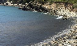 Amasra'da kirlilik alarmı