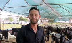 Antalya'da kurban pazarları hareketkedi