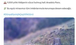 Bakan Yumaklı'dan 'Anadolu parsı' Gönderisi