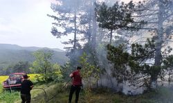 Bolu'da ormana yıldırım düştü