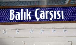 CarrefourSA’dan Bursa’ya büyük yatırım