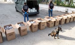 Dronla Tespit Edildi, Sentetik Hap Bulundu
