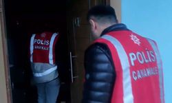 Gökçeada'da nitelikli yağma operasyonu