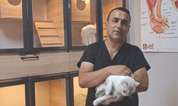 Hayvanların Şifacısı ve Umut Elçisi: Veteriner Hekimin Dokunuşu